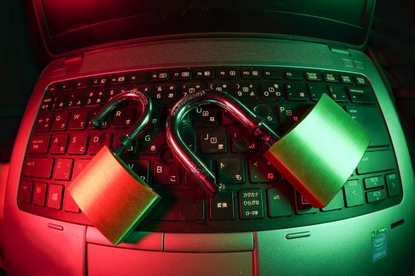 Ransomware Essentials for Small Businesses: Practical Steps and a Ready Guide